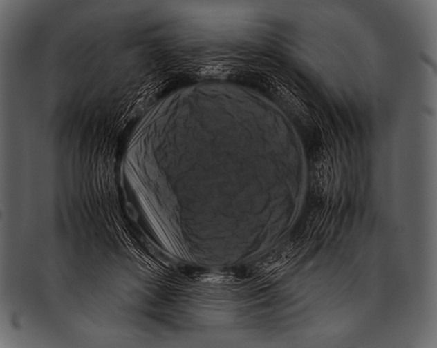 X0000097460504200803201429