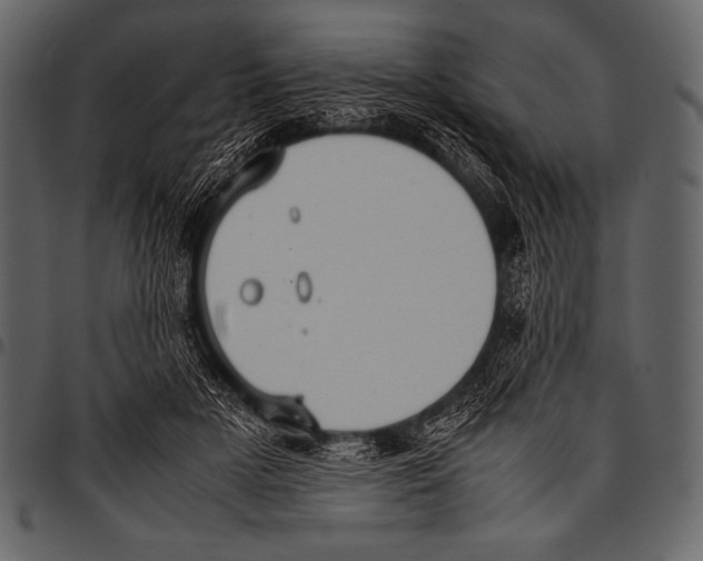 X0000097460505200803201429