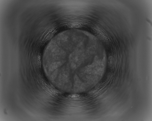 X0000097460506200803201429