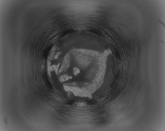 X0000097460507200803201429