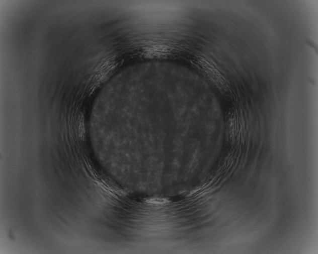 X0000097460508200803201429