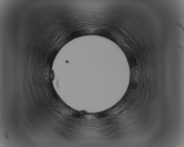 X0000097460509200803201429