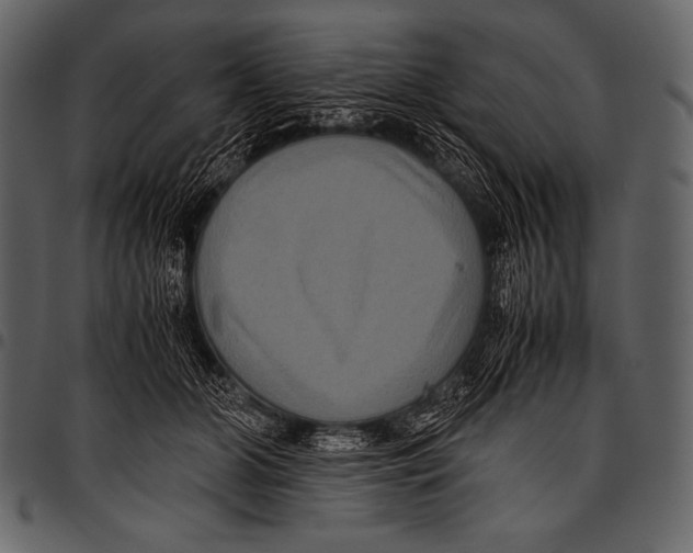 X0000097460510200803201429