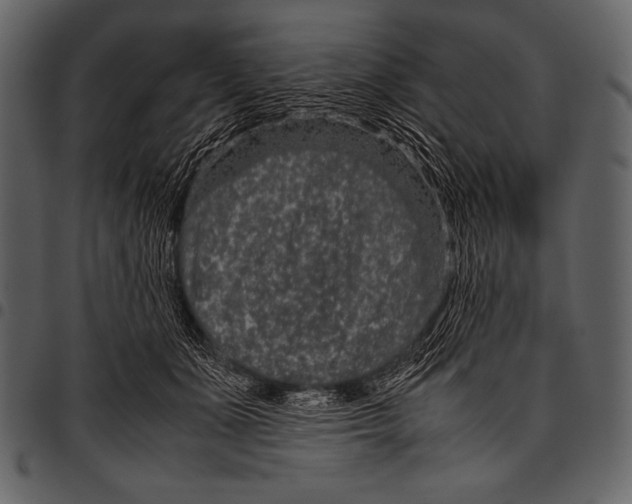 X0000097460511200803201429