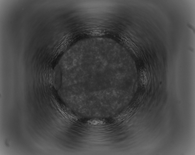 X0000097460512200803201429