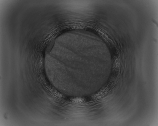 X0000097460513200803201429