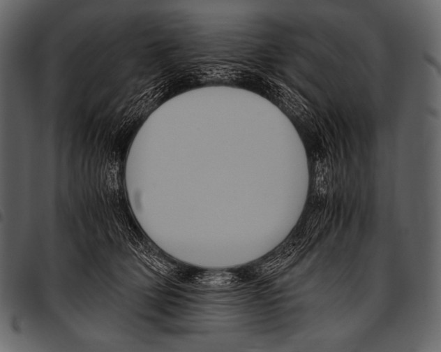 X0000097460514200803201429