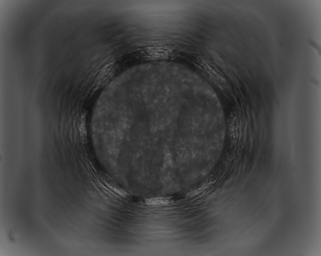 X0000097460516200803201429