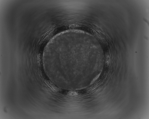 X0000097460519200803201429