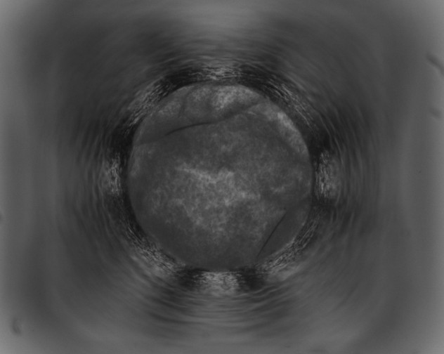 X0000097460520200803201429