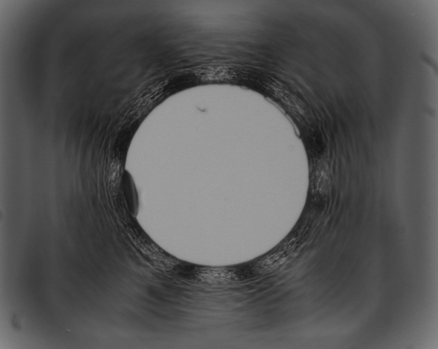 X0000097460521200803201429