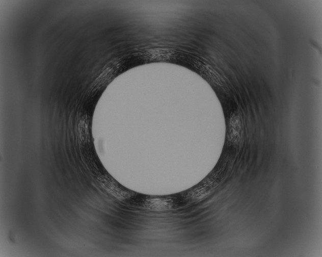 X0000097460522200803201429