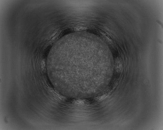 X0000097460523200803201429