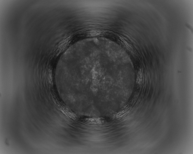 X0000097460524200803201429