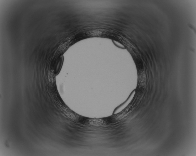 X0000097460525200803201429