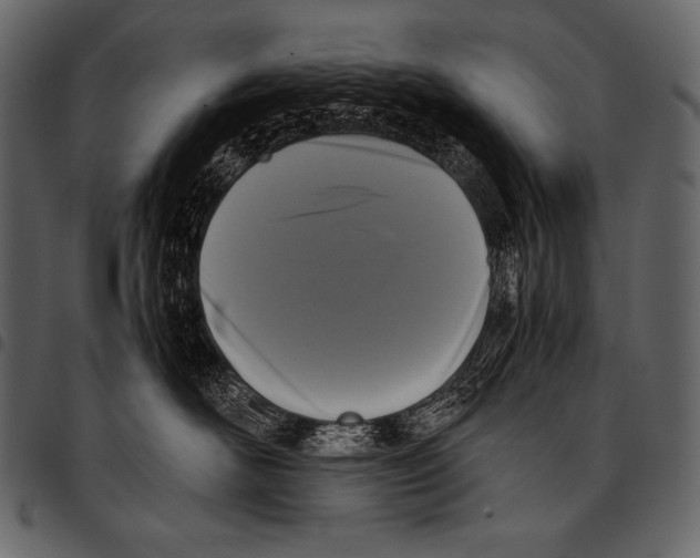 X0000097460526200803201429