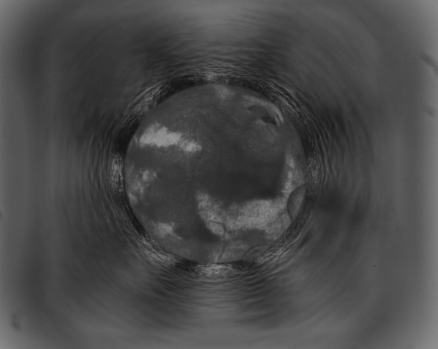 X0000097460527200803201429