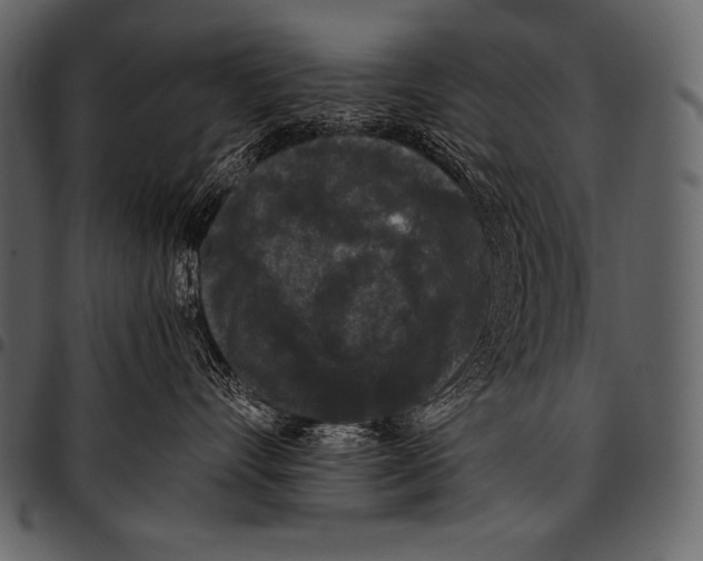 X0000097460528200803201429