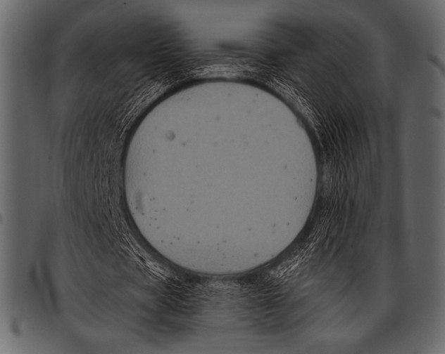 X0000097460529200803201428