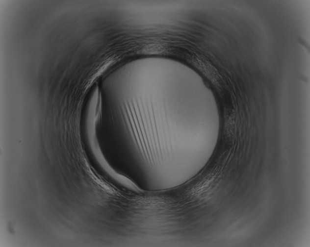 X0000097460530200803201428