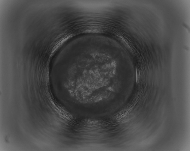 X0000097460531200803201428