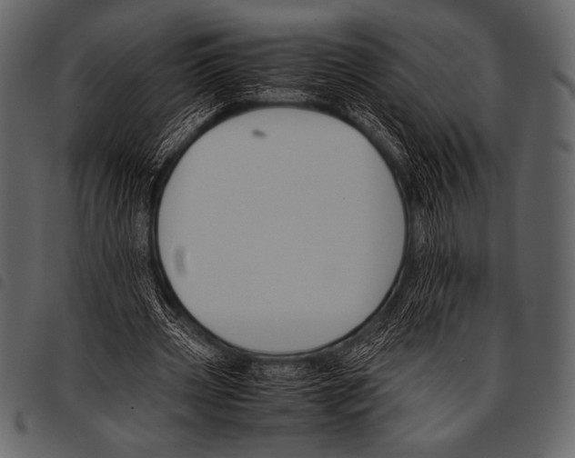 X0000097460533200803201428