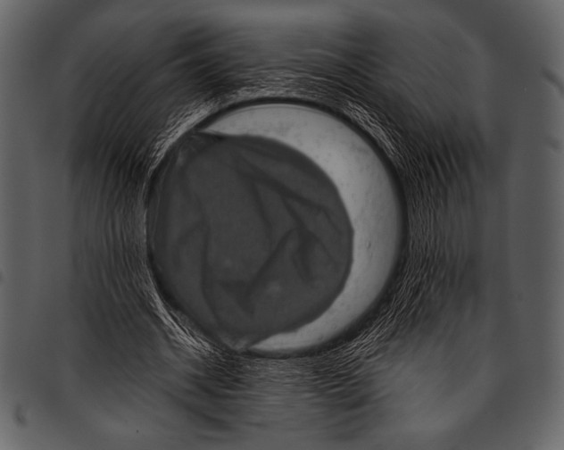 X0000097460534200803201428