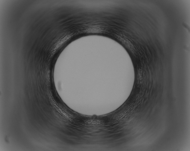 X0000097460535200803201428