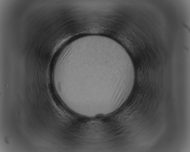 X0000097460536200803201428