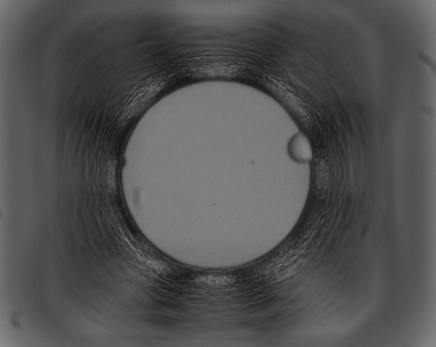 X0000097460537200803201428