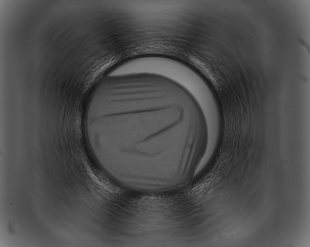 X0000097460538200803201428