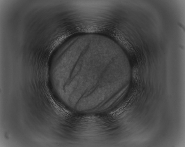 X0000097460540200803201428