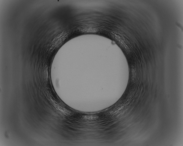 X0000097460541200803201428