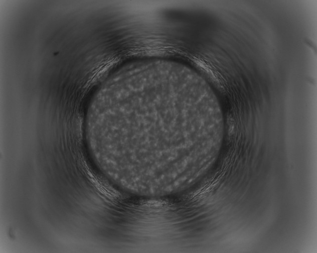 X0000097460542200803201428