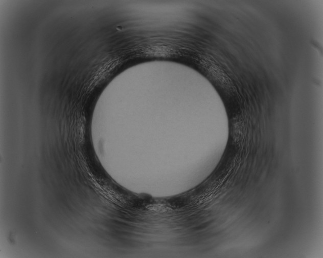 X0000097460544200803201428