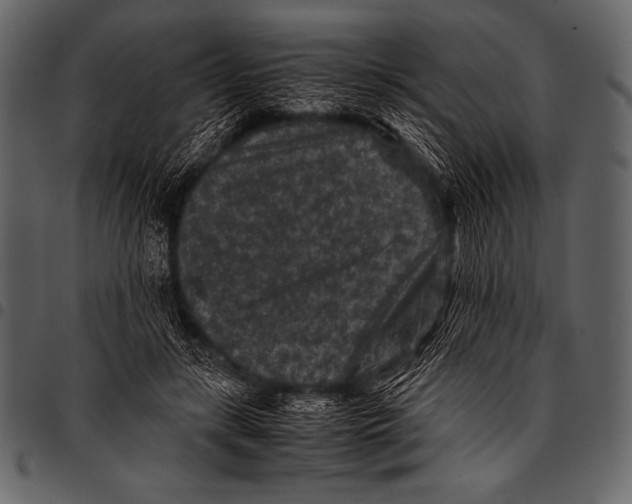 X0000097460547200803201428