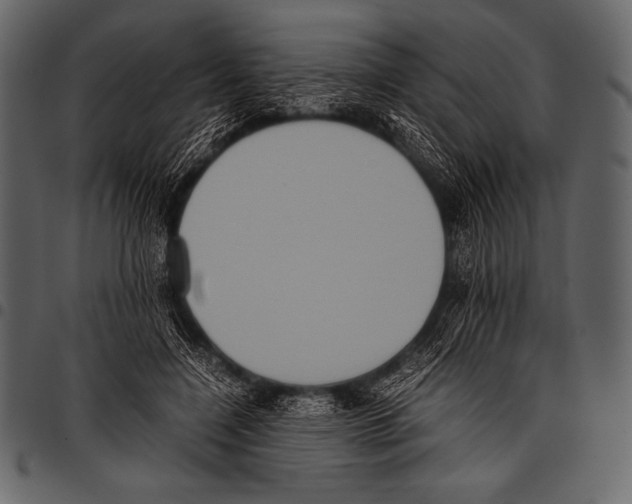 X0000097460548200803201428