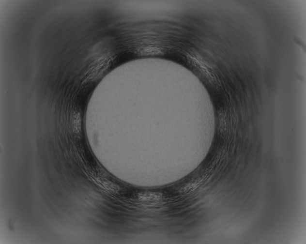 X0000097460549200803201428