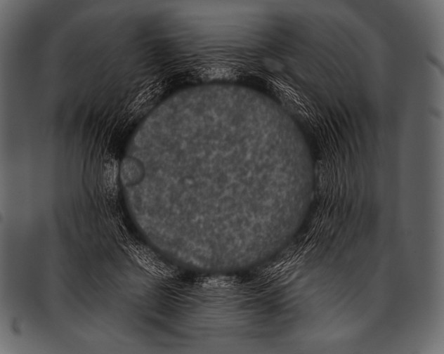 X0000097460550200803201428