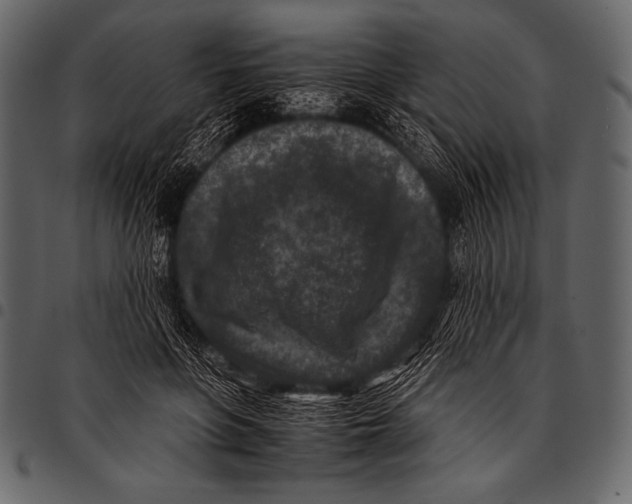 X0000097460551200803201428