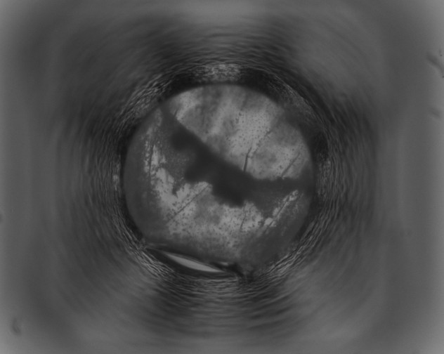 X0000097460553200803201428