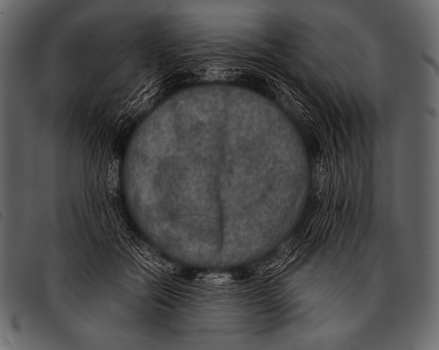 X0000097460554200803201428