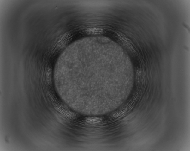 X0000097460557200803201428