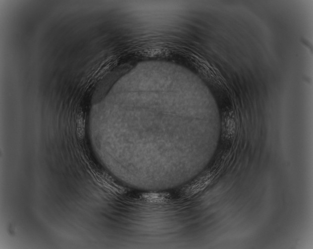 X0000097460558200803201428