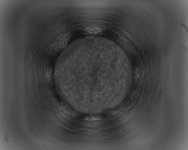 X0000097460559200803201428