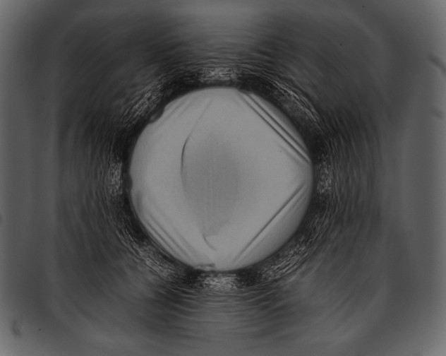 X0000097460560200803201428