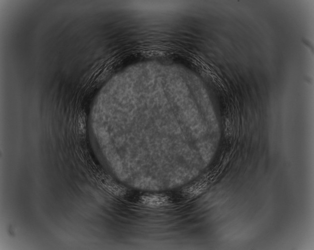 X0000097460561200803201428