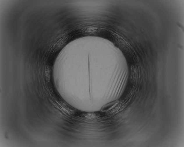 X0000097460562200803201428