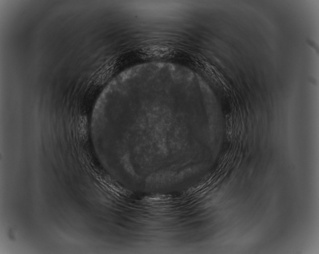 X0000097460563200803201428