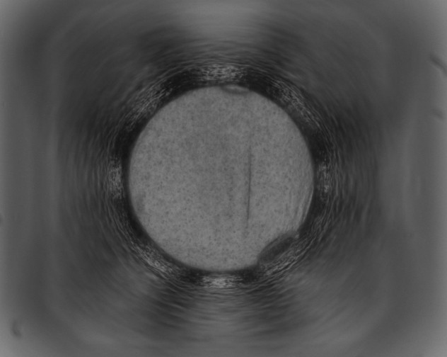 X0000097460564200803201429